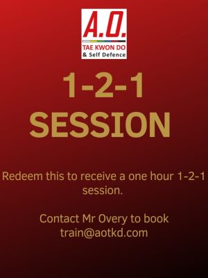 1-2-1 session