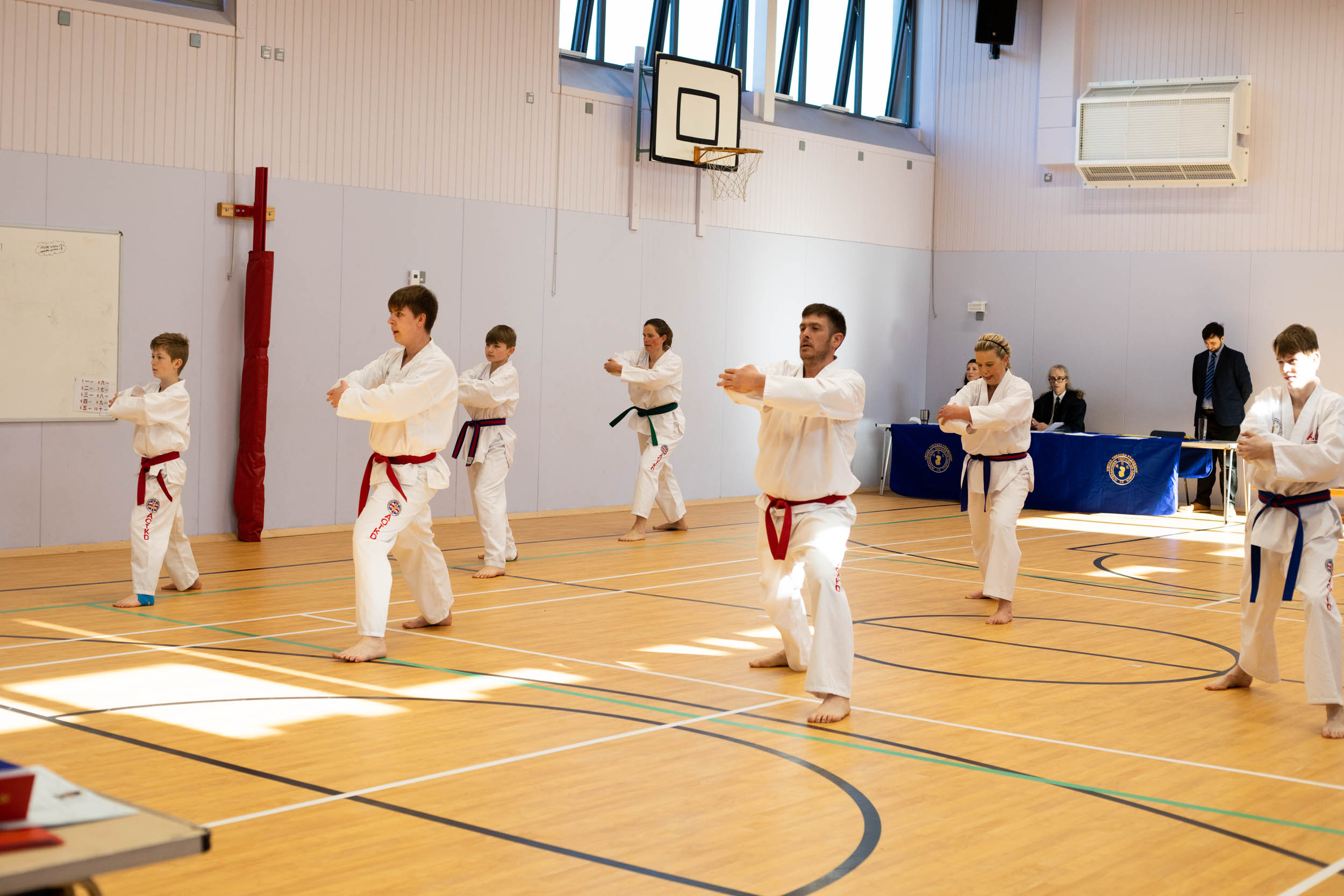 Adult classes Taekwondo