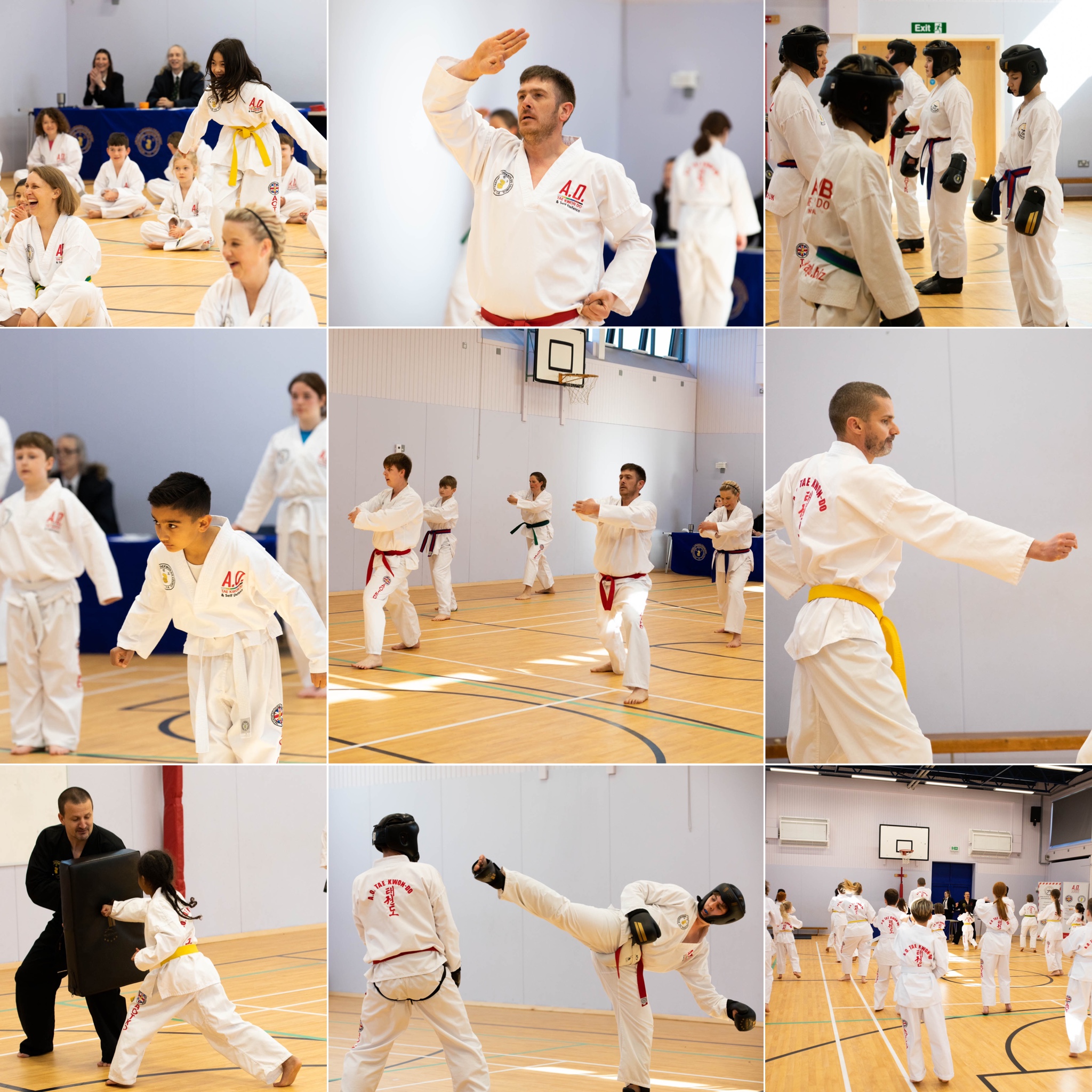 BEGINNERS TAEKWONDO LESSONS AO TAEKWONDO ROMSEY